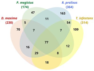 Proteome of the Triatomine Digestive Tract: From Catalytic to Immune Pathways; Focusing on Annexin Expression